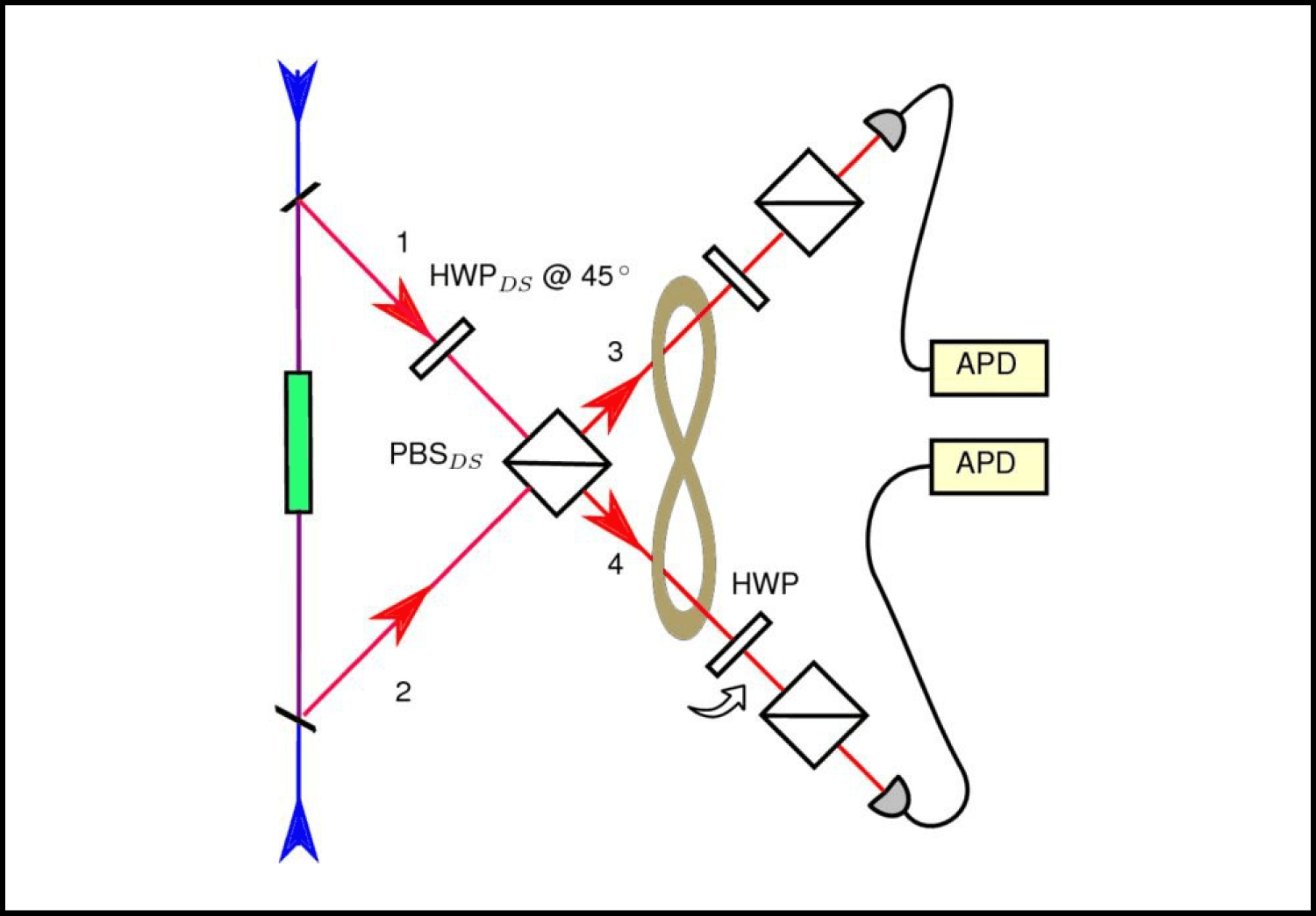 Multi-Protocol Architecture